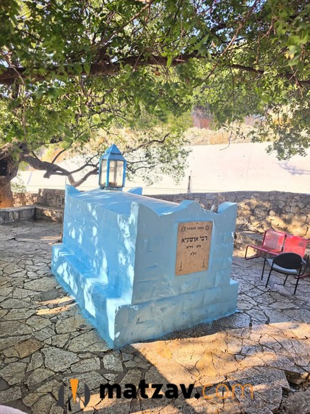 Hidden Gem for Bein Hazemanim: The Kever of Rav Oshiya, the Ancient Oak, and a Scenic Spring Below