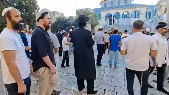 Record Number of Jews Ascend Har HaBayis on Tishah B’Av