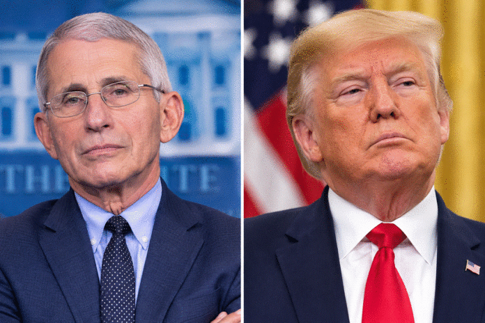 Trump: No Talks With Blanche, Pirro on Fauci Prosecution