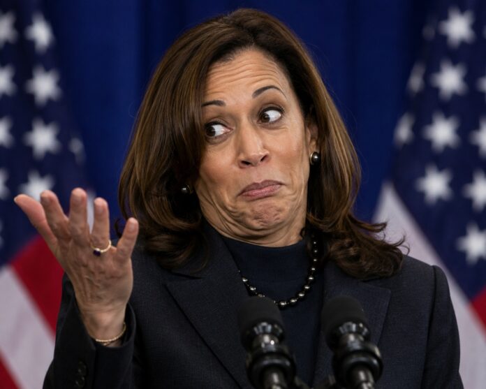 Kamala Harris Teases Potential 2028 Platform: ‘I Know This Is Going To Be Controversial’