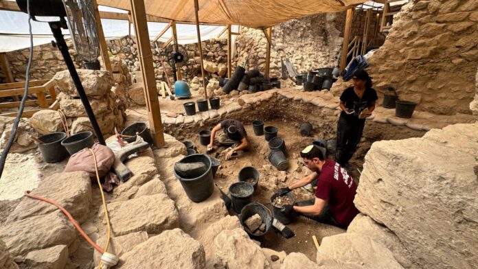 Charred Wood From 1st Temple Destruction Discovered In City Of David Excavations